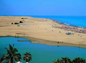 Oasis Playa Maspalomas 201