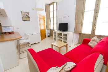 Spacious One Bedroom Central Apartment (C18)
