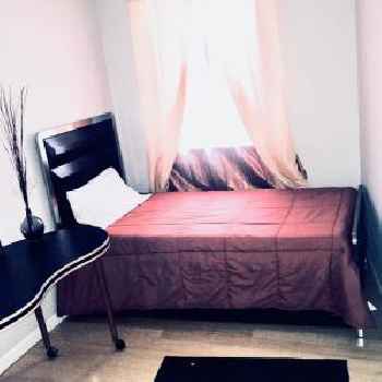 Hollywood Room Rental 220