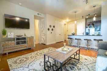LUXURIOUS BUSINESS & FAMILY MONTROSE CONDO - ⭐⭐⭐⭐⭐
