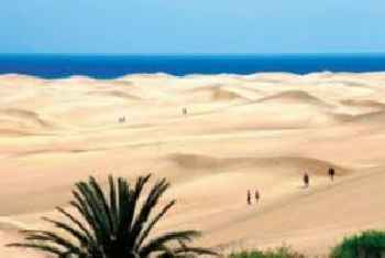 Apartamento Céntrico Playa del Inglés 201