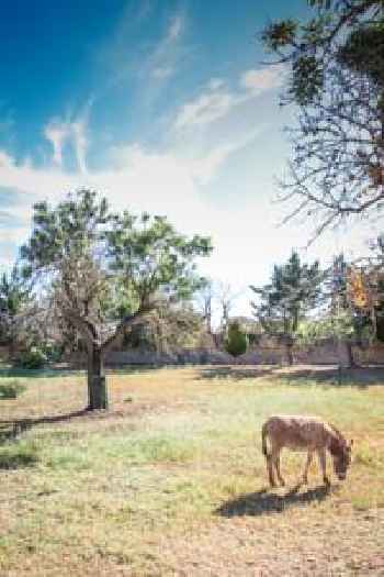Finca Urlaub