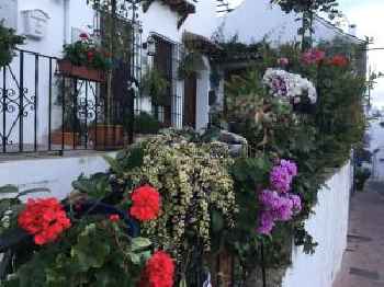 Estepona 3 201