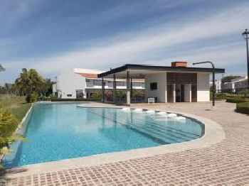 New beautiful house in El Tigre, Golf Club, Punta Cala Doble 201